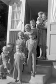 Barnrikefamilj Andersson, Hagaström. Den 9 augusti 1949