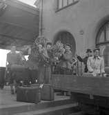 Skolungdomar hem från fjällen den 23 februari 1950