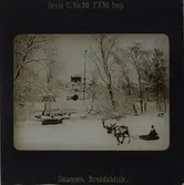 Vintervy från Skansen. I förgrunden en ren som drar en ackja med en kvinna iklädd samisk dräkt, i bakgrunden Bredablick.