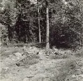 Ett röse väster om Stångeland.