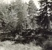 Ett röse väster om Stångeland.