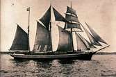 Danska skonerten Grete av Aerø. Hon byggdes 1901 i Faske och mätte 189 brregton. Sedermera såldes hon till Sverige och fördes under namnet Lydia av kapten af Ekensteen i viken. Som svenskt fartyg lär hon ha nerriggats och försetts med hjälpmotor