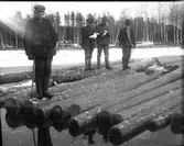 Män inspekterar timmer.