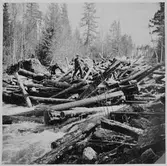 Bröt i den lilla Kölsjöån, våren 1958.