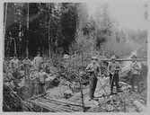 En grupp män, med spett och spade, som arbetari i skogen.