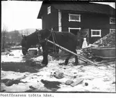 Postförarens trötta häst.