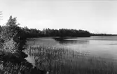 Sjö och strand i Sandviken. Foto 1938.