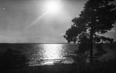 Solreflexer på Storsjön. Foto 1938.