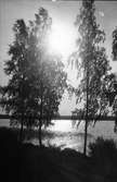 Solreflexer på sjön (Storsjön?), Sandviken. Foto 1938.