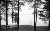 Solreflexer på sjön (Storsjön), Sandviken. Foto 1926.