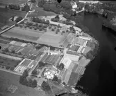 Nedre Åsbyggeby vid Gavleån. Solviks Handelsträdgård, Trädgårdsmästare E.O Eriksson. Starks Handelsträdgård. Valter Stark


