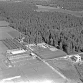 Edstuga, Hälsingland

