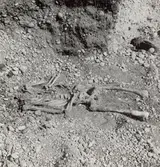 Skelett i röset Galgerrör. Undersökt av J E Anderbjörk 8/ 1939. Rapport till Riksantikvarieämbetet 25/8 1939.