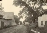 Byagatan med herrgården närmast. T.v.  gavlarna av de gamla flyglarna i mangården. Till höger ett gammalt bränneri.