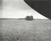 Stort röse i åkern vid Kyrketorp, Kronåkern.