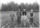 Fyra personer som står på ett odlingslandskap.