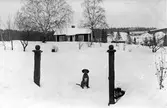 Särnaheden en vinterdag