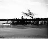 Vinterlandskap, Uppland