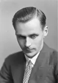 Erik Harry Carlsson