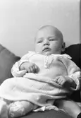 Blomkvists baby

