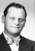 Carl Bergström
