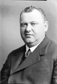 Herr Bergström
