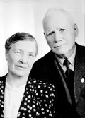 J. A Johansson



