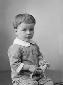 Augusto Eriksson