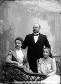 Karlkvists familj





