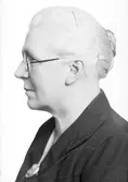 Fru Andersson, Hagaström