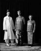 E. Malmström. Stridsropet.
