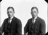 Larsson Alfred