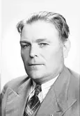 Axel Andersson, Österänge, Österfärnebo

