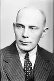 Filip Bellander