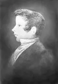 Dryselius.

