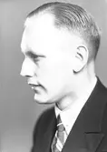 Erik Hedlund. Elverket



