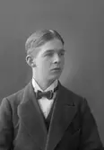 Herr Vikholm