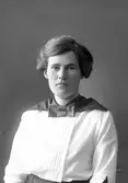 Fröken Nilsson, (kassör Amneus)