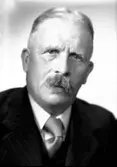 Herr Östman