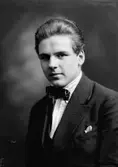 Herr Verner