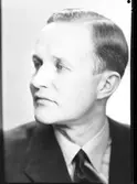Martin Lindén