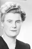 Fröken Steiner