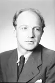 N. Eriksson