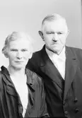 P. J. Wikholm