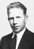 David Brodin