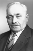 L. J Larsson
