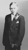 Anders Westerlund