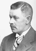 Joel Lagerström
