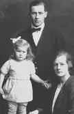 Familjen Gerdin