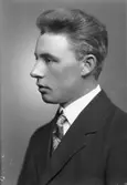 Johan Palm
